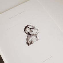 Charger l'image dans la galerie, Ma petite enfance - 1 an à 5 ans - DINOS - Moments ancrés