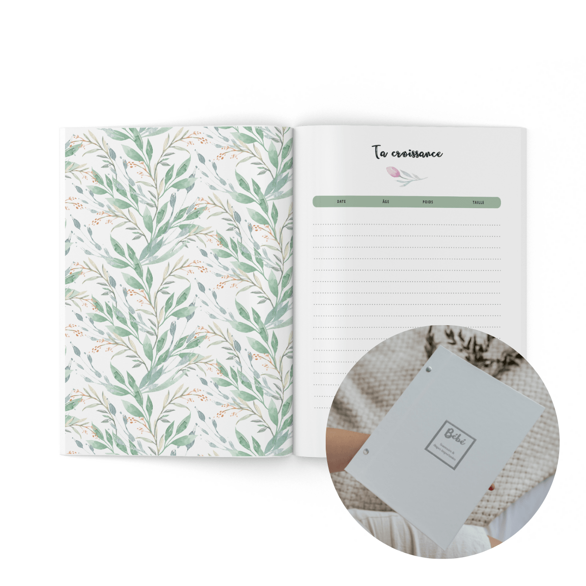 Mon journal de bébé - Papillons - Couvertures rigides - Moments ancrés